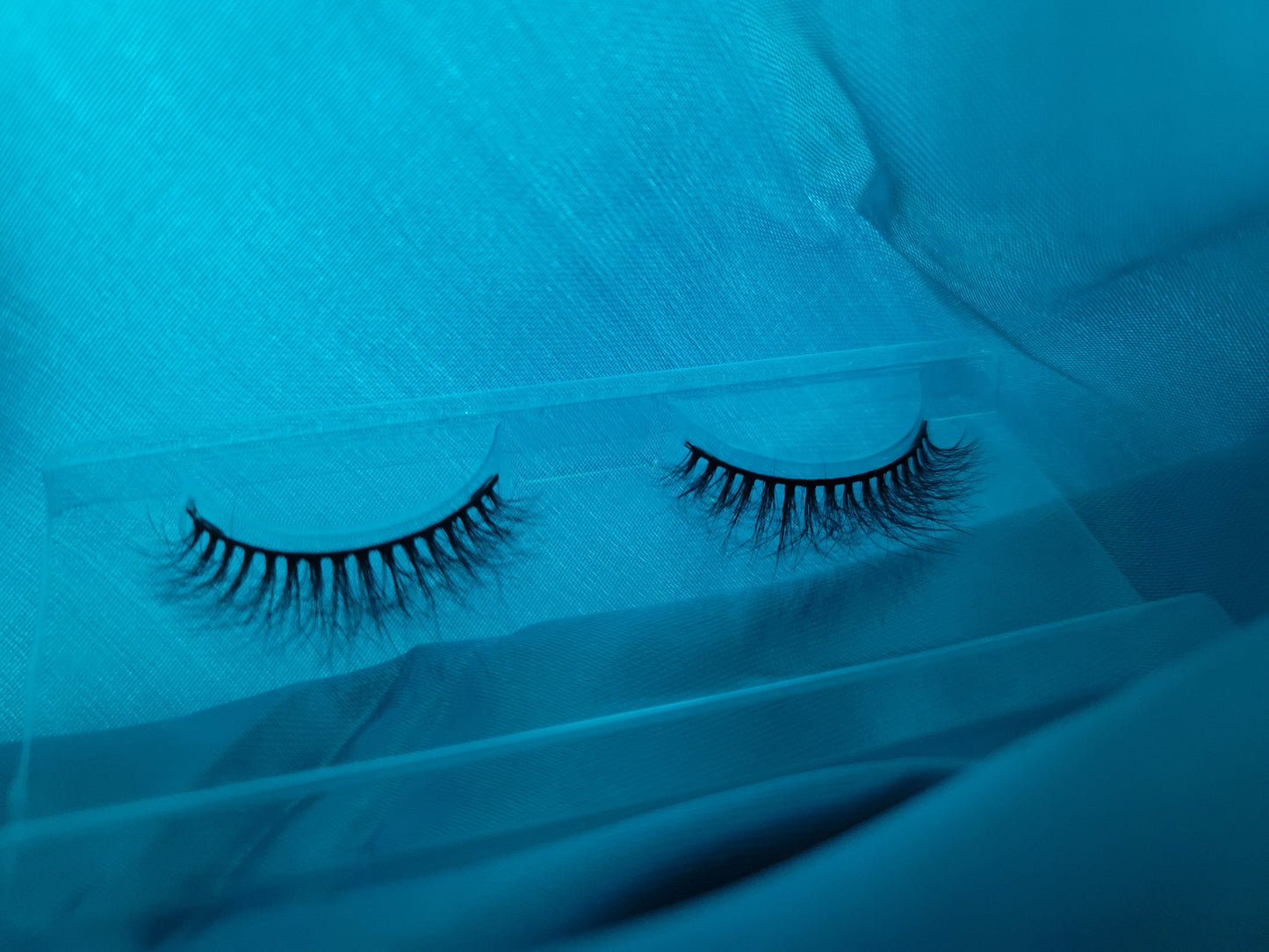 LADY LASH (FD07)